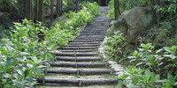 Japan - image-20042011-10