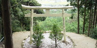Japan - image-20042011-6