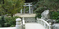 Japan - image-20042011-7