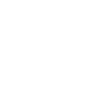 Advance Alternator