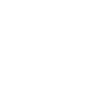 Rocket Bunny