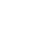Z-Project