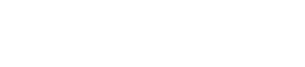 Novel