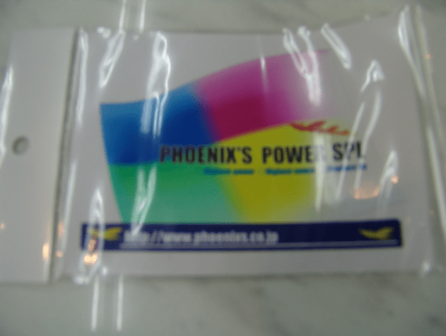 Phoenix Power - Rainbow Flag Sticker