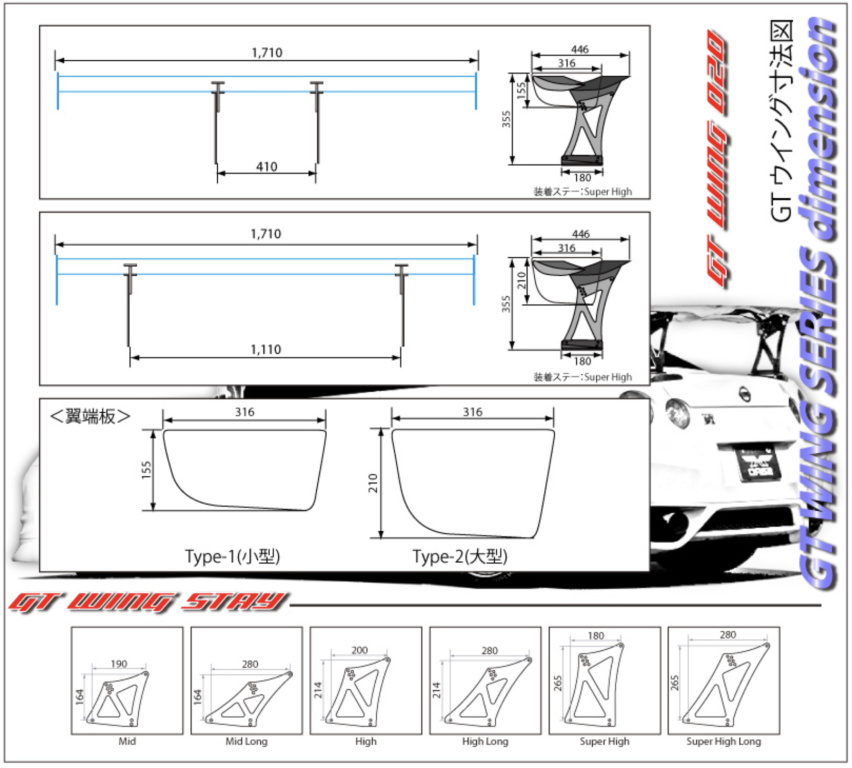 Sard - GT WING 020