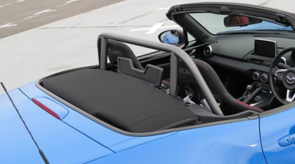 Leg Sport - Challenge Roll Bar