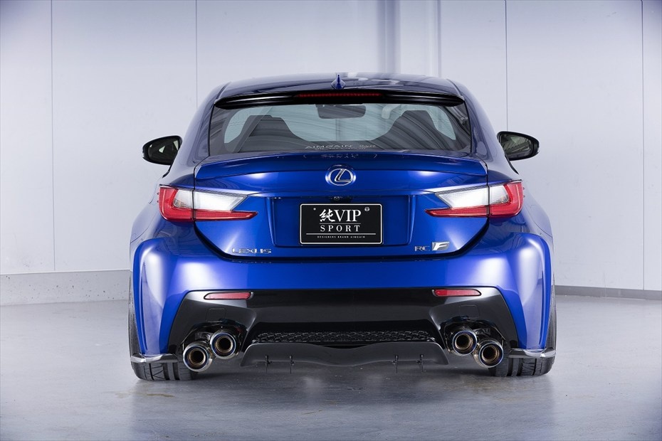 Rear Center Diffuser - Construction: FRP/Carbon - Colour: Unpainted - AIMPVIPSP-RCF-RCD