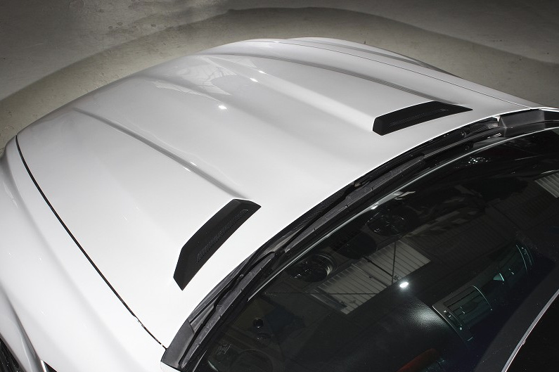 Bonnet/Hood - Construction: FRP - Colour: Unpainted - BP-JLDSS-LS-BH