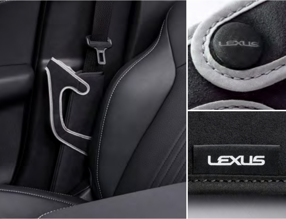 Lexus - NX450h+/NX350h/NX350/NX250 Dealer Option Parts