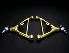 Skyline - R34 25GTT - ER34 - Ikeya Formula - Adjuster Rear Lower Arm