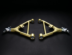 Skyline GT-R - BNR32 - Ikeya Formula - Adjuster Rear Lower Arm