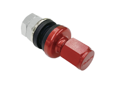  - RAYS - Air Valvestem
