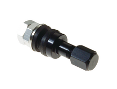  - RAYS - Air Valvestem