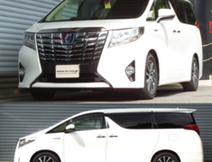 Alphard Hybrid - AYH30W - RS-R - Ti2000 Down Springs