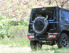 Jimny - JB64W - Pipe Size: 45mm - Tail Size: 80mm - Body Type: A Body - Body Type: Matte Body - Tail Type: A Tail Gold Ring - Tail Type: Matte Tail - 4580506115508