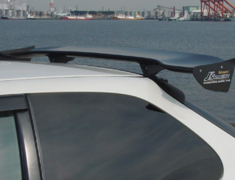 Civic Type R - EK9 - Material: Wet Carbon - Width: 1350mm - DGW1-H5-W