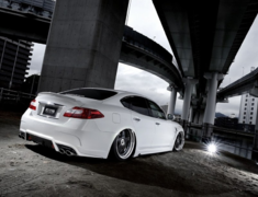 Aimgain - Pure VIP GT Y51 Fuga