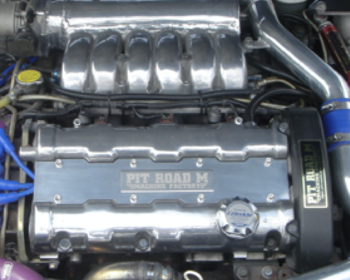 Pit Road M - Plug Cover