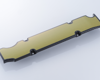 Spoon - Carbon Plug Cover, F20C