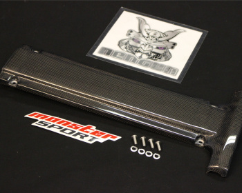 Monster Sport - Carbon Plug Cover