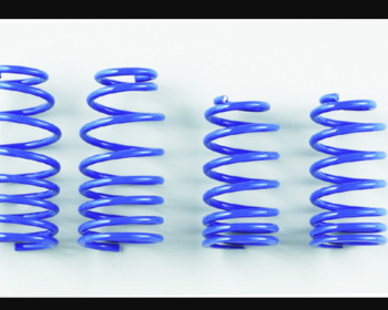 Civic Type R - FD2 - Spoon - Progressive Springs