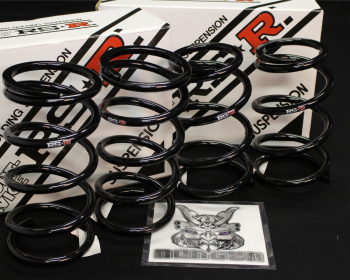 RS-R - Ti2000 Super Down Springs - Nengun Performance