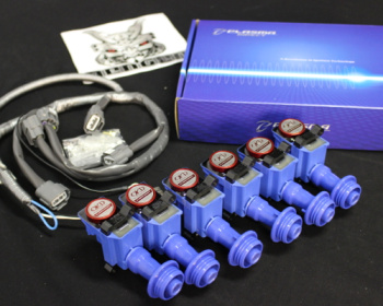 Skyline GT-R - BNR32 - Okada Projects - Plasma Direct
