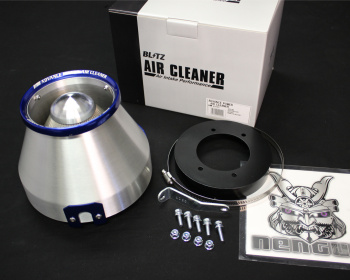 Skyline - R33 GTS-t - ECR33 - Blitz - Advanced Power Air Cleaner