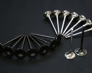 - NAPREC - Forged Big Valve Sets