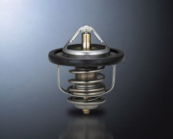 D Sport - Low Temperature Thermostat