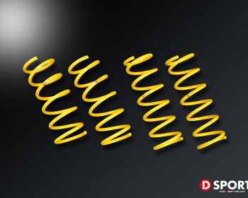 D Sport - A-SPEC Spring