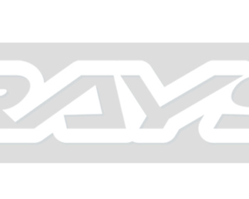 Universal - RAYS - Logo Sticker