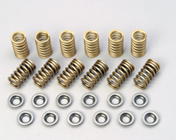News GT1 - Reinforced Valve Springs
