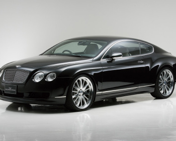 Continental GT - BCBWR - Side Steps - Construction: FRP - Colour: Unpainted - WEL-BCBWR-SS