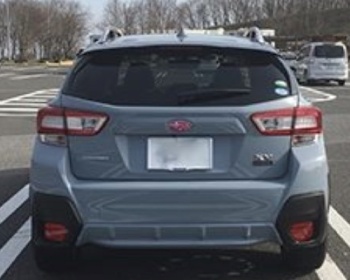 Impreza Sports - GT6 - Launsport - Replica Custom Pink Ornament