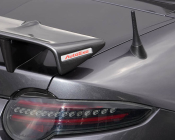 AutoExe - Helical Short Antenna