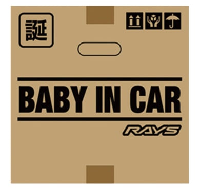 RAYS - Official Vehicle Stickers