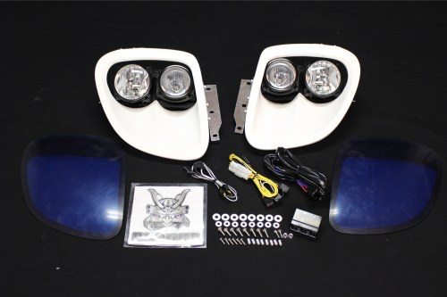 RE Amemiya - Sleek Light - H11 Type