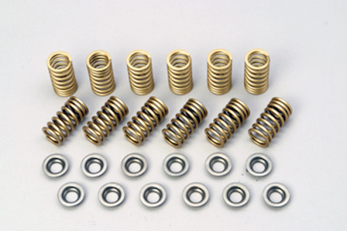News GT1 - Reinforced Valve Springs