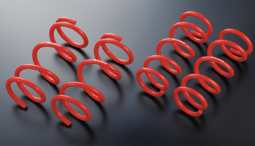 Nismo - Sports Springs