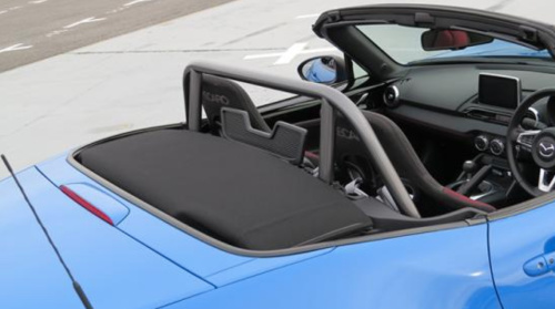 Leg Sport - Challenge Roll Bar