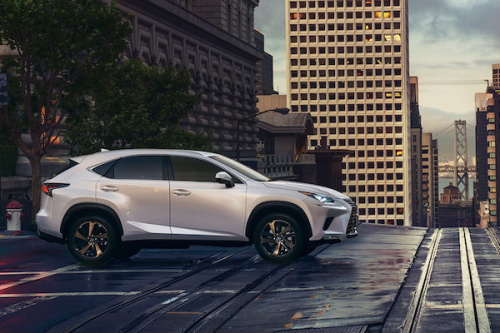 Lexus - NX300 Dealer Option Parts