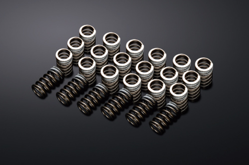 Reimax - Valve Springs