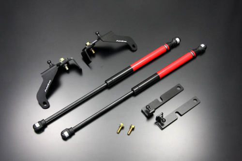 AutoExe - Bonnet Dampers