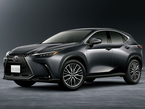 Lexus - NX450h+/NX350h/NX350/NX250 Dealer Option Parts