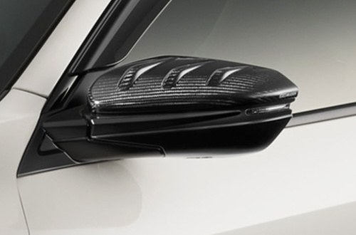 Mugen - Carbon Door Mirror Cover