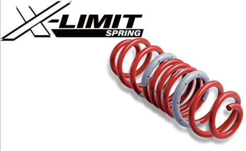 Tanabe - Sustec X-Limit Springs
