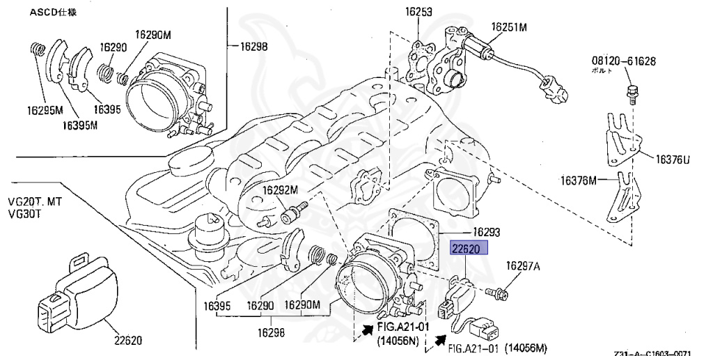 Nissan - Fairlady Z - Z31 - 1986 - ZR2 - MANUAL TRANSMISSION(MT) - T-bar roof (KZ#) - RB20DT