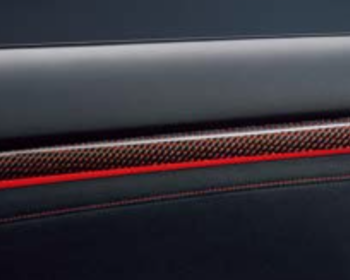 Honda - Carbon Door Panel