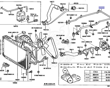 Toyota - Celica - MA61 - 1981 - GT TYPE - LIFTBACK - Automatic - 5MGEU